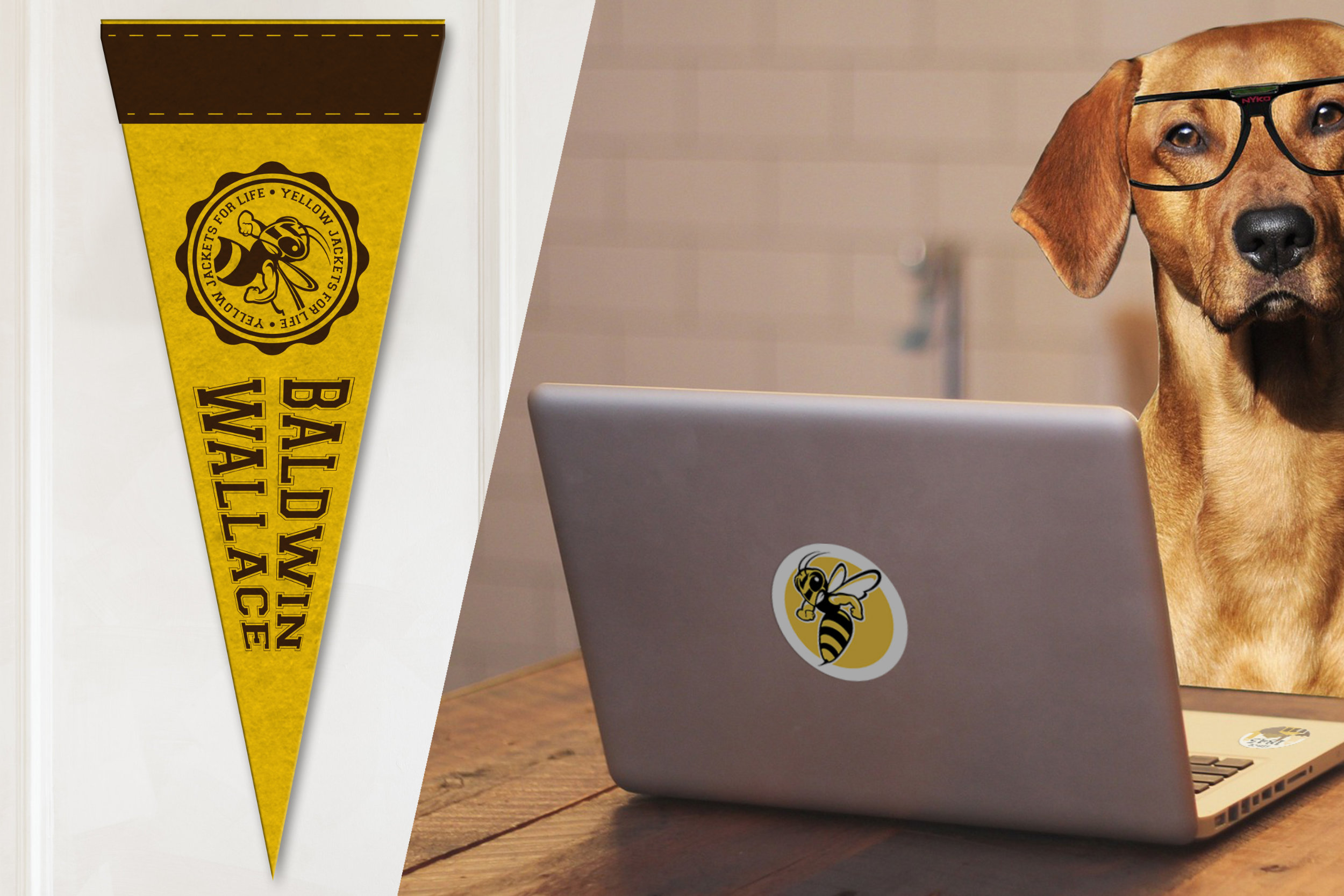 mockup of a Baldwin Wallace pennant and a dog using a laptop with BW stickers