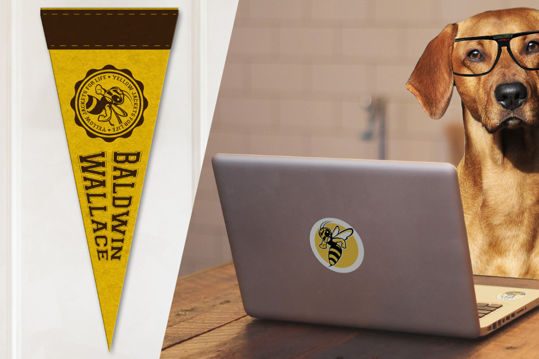 mockup of a Baldwin Wallace pennant and a dog using a laptop with BW stickers